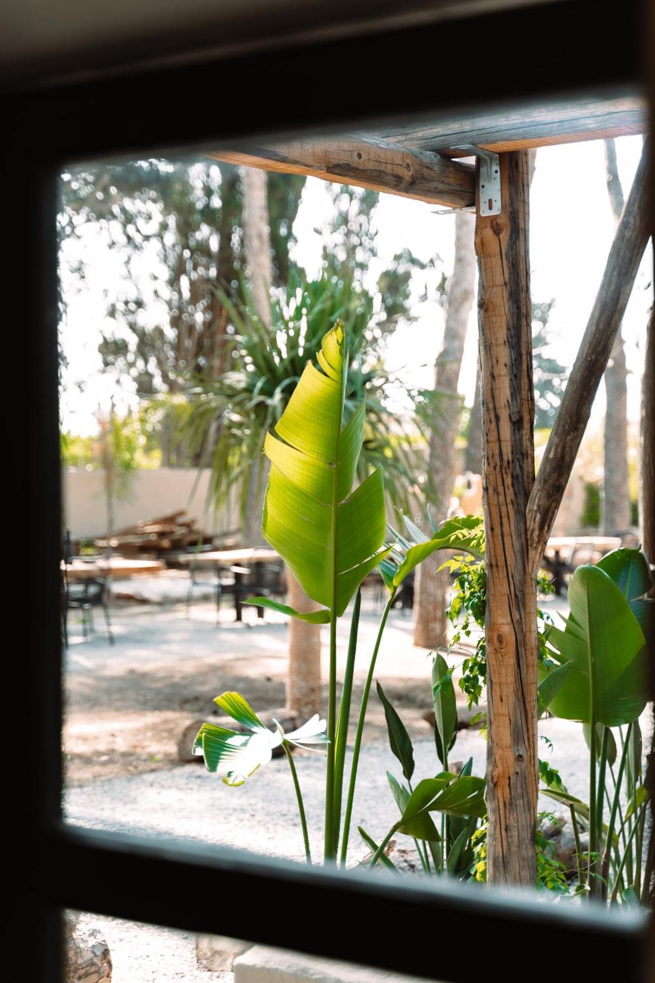 Parco Ibiza, By Camping San Antonio Est 1961 Rum bild